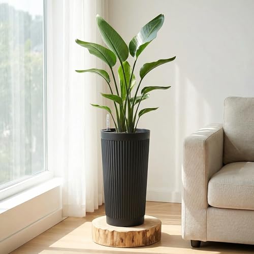 TUYOHW 24 Inch Tall Round Plastic Planter with Self Watering System, Large Indoor Outdoor Planter for Home, Patio, Garden - color: Black-round