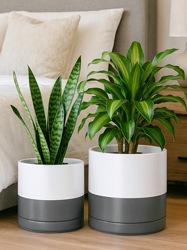 D'vine Dev 2-Pack Ceramic Pots with Saucers, 8/10 in, White/Grey, 94-G-L-6 - color: White/Speckled Grey, size: Large