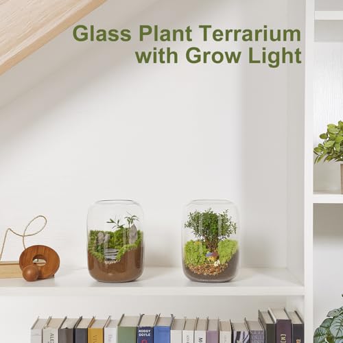 Plant Terrarium with Grow Light: 8.6H+6.3W Glass Terrarium - size: H-8.6IN