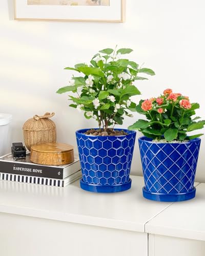 EFISPSS 6 Inch Pots for Indoor Plants,Ceramic Plant Pots,Planters with Drainage Hole and Saucer, Flower Pots Desktop Office Windowsill Decoration Gift Set of 2 - Sapphire Blue - color: Blue, size: 6+6 Inch