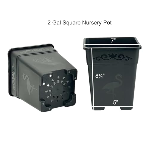 2 Gallon Square Nursery Pot Plastic Planters for Outdoor Indoor Plants 10-Pack with Drainage Holes Black - color: Black, size: 10-Pack 2 Gal Square