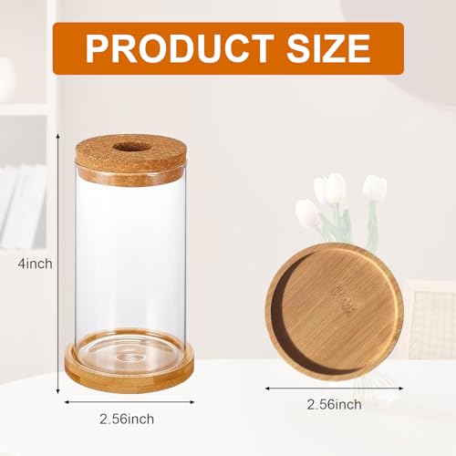 6 Pcs Plant Propagation Terrarium Glass Vase Containers