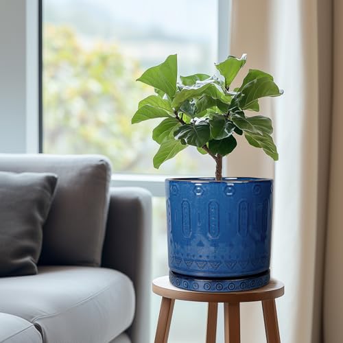 Eightpot Plant Water Catcher Tray - Ceramic Plant Saucer for Outdoors 7.5 Inch Plant Pot Saucer Plant Drip Tray for Potted Plants Drainage Decorative Round Flower Pot Saucer Blue - color: Blue, size: 7.5 Inch
