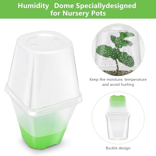 Sckee Clear Nursery Pots for Plants, 30 Packs Plastic Seed Starting Pots with Drainage Holes Plant Nursery Pots Silicone Base (Light Green, 3.1 inch with lids) - color: Light Green, size: 3.1 inch with lids
