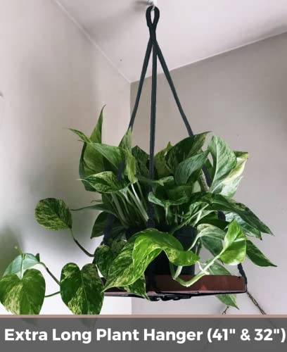 2 Pack Plant Hanger Indoor, Hanging Plant Shelf (12" + 10") - color: Black, size: 2-Pack, 1-Tier