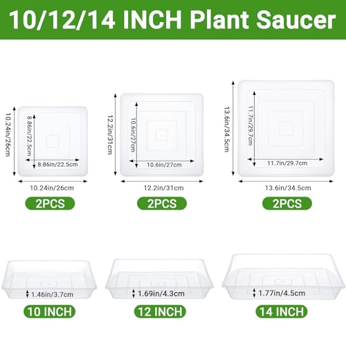 Greaner Clear Plant Drip Tray, 10/12/14 Inches Heavy Sturdy Plastic Tray, Flower Pot Saucers for Indoor Outdoor(6 Packs) - color: Clear, size: 10"/12"/14"