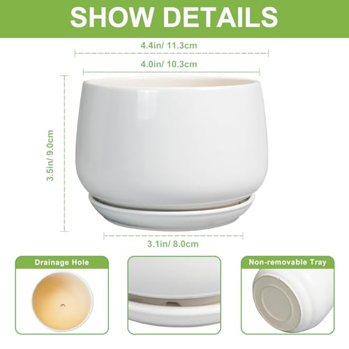 G EPGardening Ceramic Plants Pots - 4 inch Succulent Pots for Indoor Outdoor, Small Planter with Drainage Hole & Saucer, Round Planter, Modern Flower Pot, Office Decor, Plant Lovers Gifts, White - color: White, size: 4 Inch