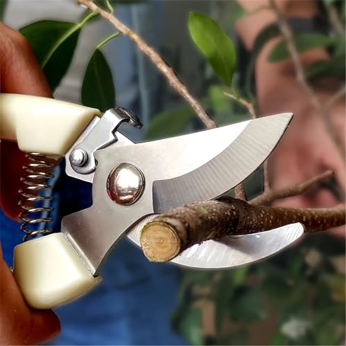 2 PACK Pruning Shears, Stainless Steel Garden Shears, Sharp Handhled Gardening Scissors, Bypass & Straight Blade Garden Clippers for Plants, Flowers, Fruits Trees, Gardening Gifts -White - color: White