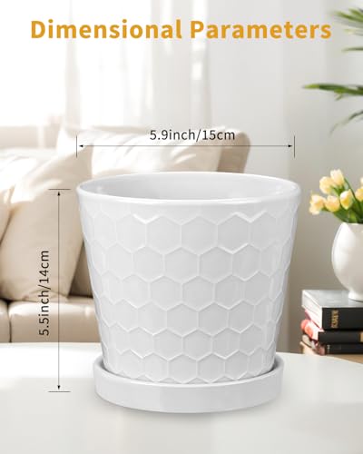 EFISPSS Ceramic Plant Pots, 6 Inch Pots for Indoor Plants, Planters with Drainage Hole and Saucer, Flower Pots Desktop Office Windowsill Decoration Gift Set of 2 - White - color: White, size: 6+6 Inch