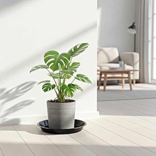 24 Pack Plant Saucer Tray, 6 8 10 inch
