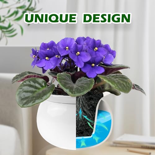 BUYMAX 6 Inch Self Watering Ceramic African Violet Pot Flower Pot Indoor - color: Wihte