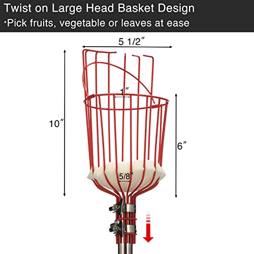 DonSail DnSail Fruit Picker Pole Tool with Basket Telescoping - Adjustable Mango Picker 35-68 inch Long Handle - Apple Orange Avocado Acorn Lemon Pear Pomelo Chery Picker for Tree - size: 35-68"