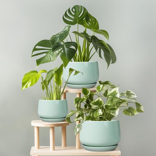 G EPGardening Ceramic Plant Pots, 6 Inch Pot for Plants, Green - color: Mint Green, size: 5 Inch