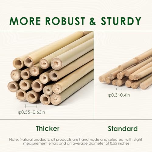 Cambaverd Bamboo Stakes 4ft, Thicker Plant Stakes with Garden Twine,20 Pack - size: 4FT PLUS-20PACK