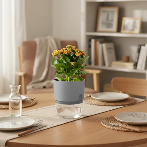 Vanavazon 6 Inch Self Watering Pots for Indoor Plants African Violet Pots - color: Gray