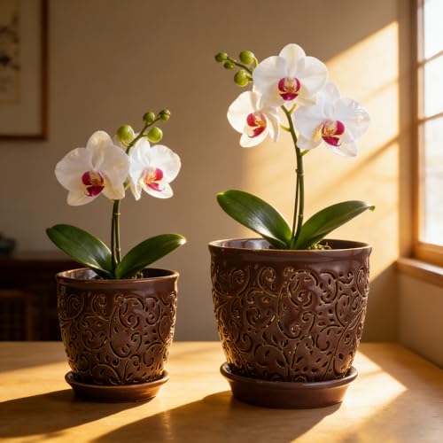 Orchid Pots with Holes, Ceramic Planter Flower Pot for Orchids Indoor Outdoor with Drainage and Saucer, Macetas para Orquídeas,Large 6.5 Inch, 5.3 Inch (Grape Color) - color: Grape Color