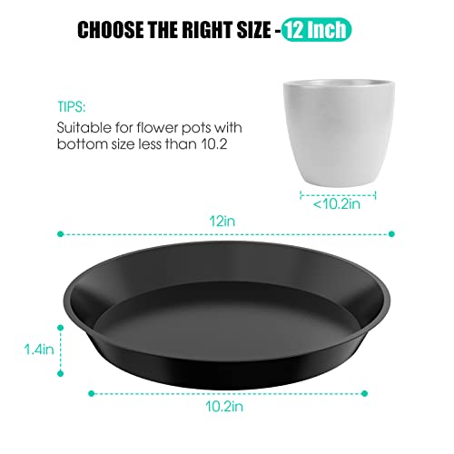 6 Pack Plant Saucer 4 6 8 10 12 14 16 18 20 22 Inch Plastic Plant Tray, Sturdy and Durable Flower Pot Container Accessories Plant Pot Saucers for Indoor and Outdoor (12 Inch, Black) - size: 12 Inch