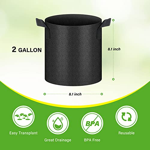 HealSmart 6-Pack 2 Gallon Nonwoven Grow Bags, Aeration Fabric Pots with Handles, Suitable for Garden Fruits, Vegetables and Flowers, Black - color: Black, 6 Pack, size: 2 Gallon
