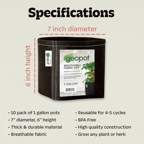GeoPot 1 Gallon Fabric Grow Bags for Vegetables, Houseplants, Herbs & Flowers | 10-Pack | Fabric Pots for Outdoors and Indoors, Aerated Fabric Grow Bags - size: 1 Gallon (10-Pack), style: No Handles