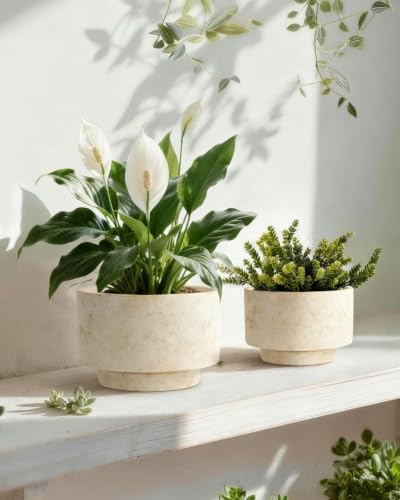 Succulent Pots, 8"+6" Plant Pots, Ceramic Planters for Indoor Plants - color: Beige