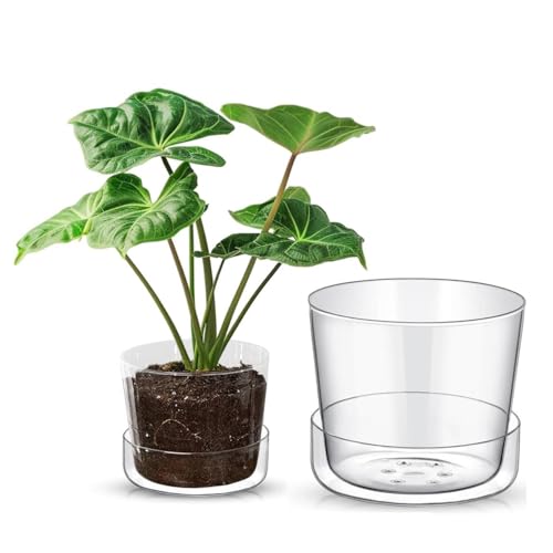Sheer Glass Pot Planter with Drainage Holes & Tray - Decorative & Modern for All House Plants (4 & 6 Inches) - size: 4 & 6 Inches