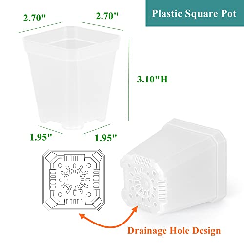120 Pack 2.70 Inch Clear Plastic Square Nursery Pot