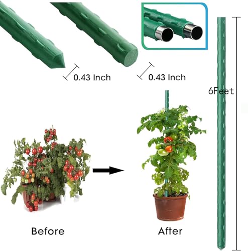 6Ft 72inch Garden Stakes Sturdy Plant Sticks Support Tomato Stakes for Vegetable,Pack of 20 - size: 6Ft-20 Pcs
