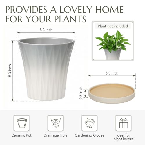 Ceramic Pots for Plants with Saucer(Grey, 8.3 Inch) - color: Gray, size: 8.3 Inch