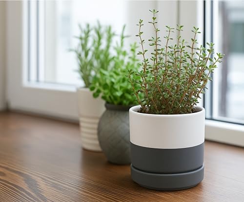 D'vine Dev 2-Pack Ceramic Pots & Saucers, White/Grey, 3.5/4.7 in, 94-G-XS-6 - color: White/Speckled Grey, size: X-Small