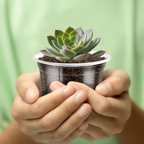 30Pack 3/4/5" Clear Nursery Pots with Drainage - size: 3/4/5Inch