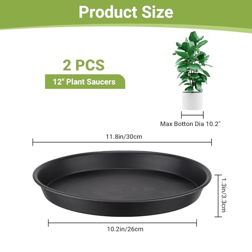 GREANER 12 Inch Plant Saucer, Black Plant Plates to Catch Water, Pebble Tray for Plant Humidity, Flower Pot Saucers for Indoor and Outdoor Garden(2PCS) - color: Black, size: 12"- 2 Packs