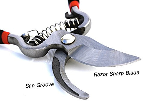 Garden Guru Classic Bypass Pruning Shears Clippers – Heavy Duty Forged Steel Garden Pruners – Safety Lock – Non Slip Comfort Grips – Cuts up to 1” – Professional Bypass Pruners for Gardening (2 Pack) - size: 2 Pack, style: Bypass Pruner (Black)