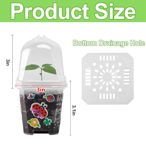EBaokuup 10 Pack 3 Inch Clear Plant Nursery Pots with Humidity Domes - color: 10pcs-color, size: 3 Inch