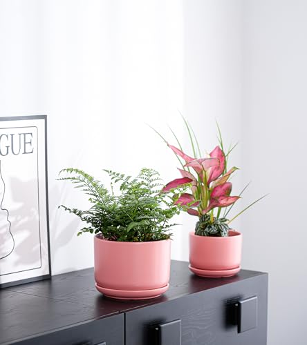 Ceramic Plant Pots,Planters with Drainage Hole&Saucer 3 Pack(Matte Orange) - color: Matte Orange