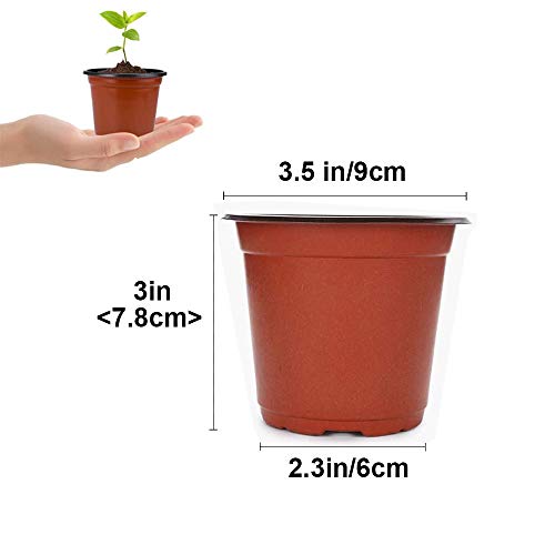 Baaxxango 100 Pcs 3.5 Inch Plastic Seedlings Plants,Nursery Pots,Seed Starting Pot for Succulents, Seedlings, Cuttings, Transplanting - size: 100 Pcs 3.5 Inch