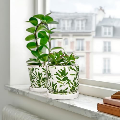 Small Ceramic Pot for Indoor Plants - 5.5 inch Plant Pot with Drainage Hole and Saucer Olive Leaf Decorative Planter Indoor Outdoor Flower Pots for Succulent Snake Pothos Plant Windowsill Home Garden - color: White&green