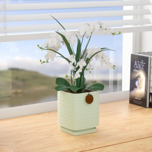 5.1 Inch Light Green Ceramic Planter with Drainage and Saucer - color: Light Green, size: Small