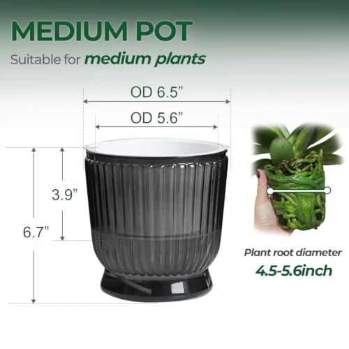 T4U Self Watering Pots for Indoor Plants 6 Inch 4 Pack Planter Gray - color: Translucent Gray, size: 6 Inch