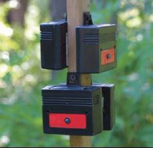 Nite Guard Solar NG-001 Predator Control Light, Single Pack (2-(Pack))