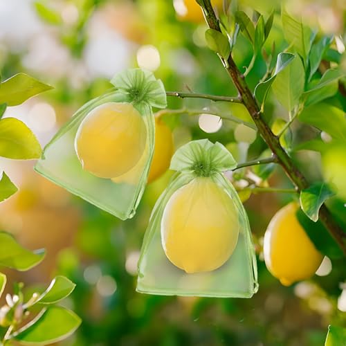 50 PCS 4X6 inches Fruit Protection Bags, Fruit Bags for Fruit Trees - size: 4X6