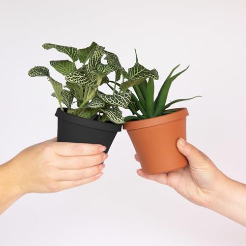 Bloem Terra 4" Plastic Planter, 0.25 Gallon, Black, 10-Pack - color: Black, size: 4" (Pack of 10)