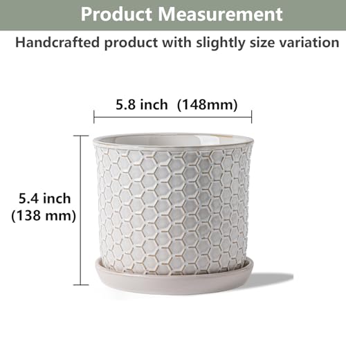 5.8 Inch Ceramic Plant Pot with Drainage Hole & Separate Saucer - color: Honeycomb Embossed, size: 6 inch