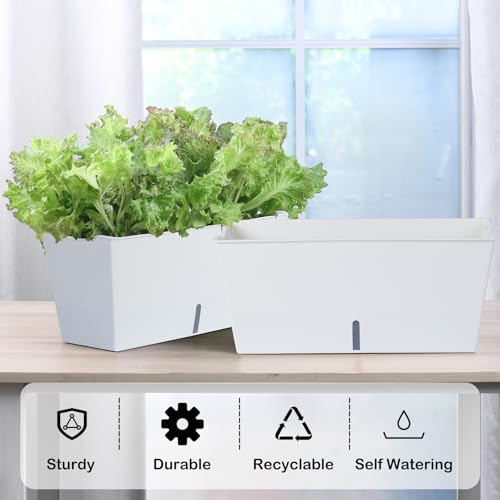 Window Box Planter 6 Pcs, 16.5 Inches Self Watering Rectangle Flower Plant Pots with Drainage Holes Trays, Vegetable Planters for Windowsill Patio Garden Balcony Porch Yard (White) - color: White, size: 16.5*7.1*7.1 inch