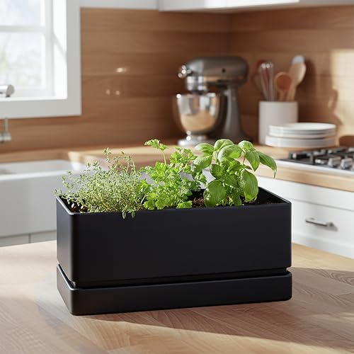 D'vine Dev Rectangular Planter, 12 x 6.5 in, Black, 76-P-B-1 - color: Black