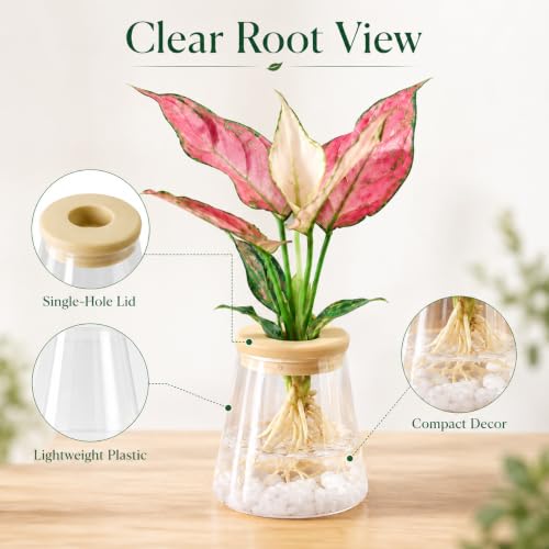 Propagation Station for Plant Cuttings, Modern Hydroponic Vase with Plastic Lid, Clear Root Observation Pot for Living Room & Office Desktop Decor - size: D-Mount Fuji Plastic Model