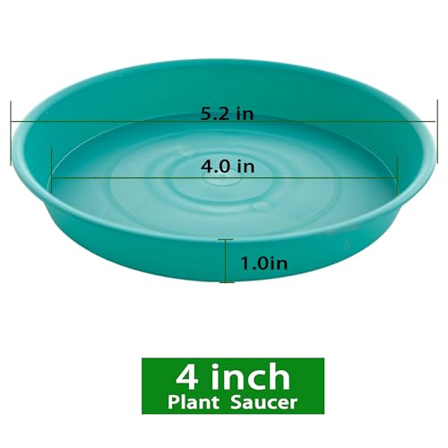 6 Pack Plastic Plant Saucer Water Drip Tray, 4 5 6 7 8 9 10 11 12 13 15 17 19 inch, Heavy Sturdy Plant Drainage Tray for Indoors Outdoor, Flower Saucers for Pots Base (4", Teal) - color: Teal, size: 4"
