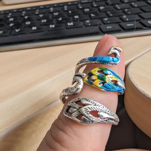 Namifin Crochet Ring for Fingure Adjustable Crochet Tension Ring Yarn Tension Rings Easy Crocheting Crochet Accessories Mother Grandma Thanksgiving Presents - color: Siliver-Colorful Ring