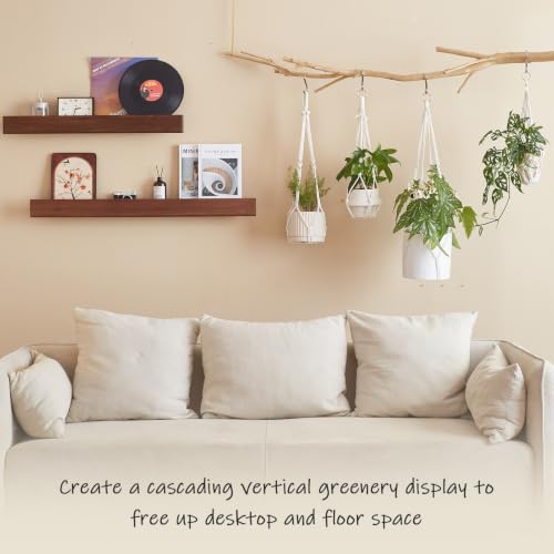 4Pack Macrame Plant Hangers Boho Hanging Planter for Indoor Plants - color: White
