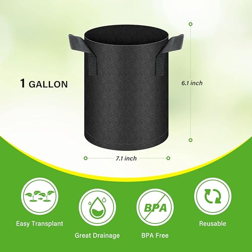 HealSmart 12-Pack 1 Gallon Grow Bags, Nonwoven Aeration Fabric Pots with Handles, Cloth Plant Pots, Suitable for Garden Fruits, Vegetables, Tomato and Flowers, Black - color: Black 12 Pack, size: 1 Gallon