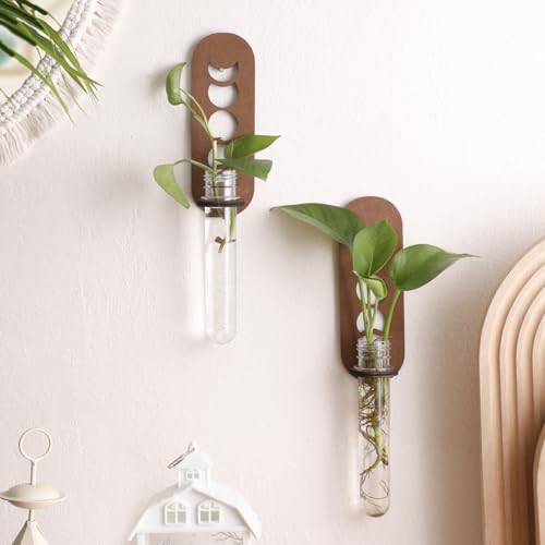 Artilady Plant Propagation Station Wall Hanging, Moon Phase Plant Terrarium - color: Moon Phase Wood